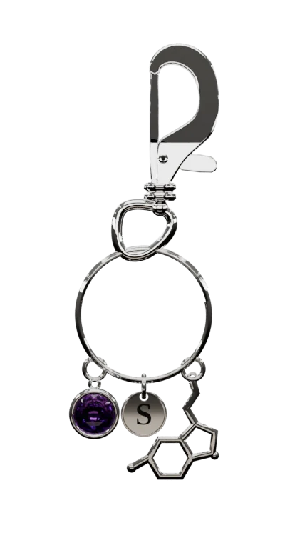 A silver keychain: lobster clasp, split ring, a dark purple stone charm, a disc stamped S, and a serotonin molecule charm